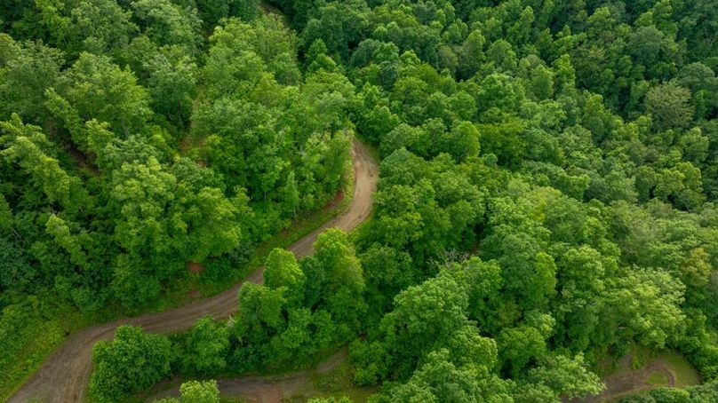 87 Featured_ProPhoto-71