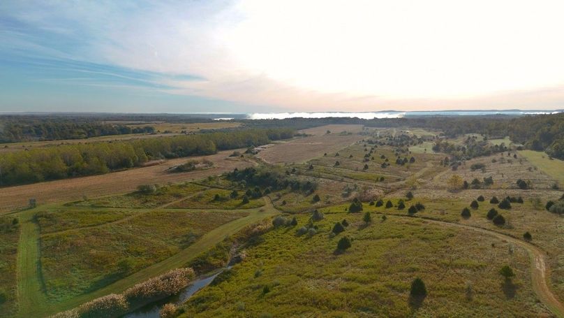 Sequence 07.00_01_15_02.Still096