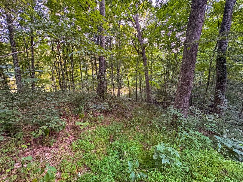 Ritchie, WV 127 AC Robinson-81