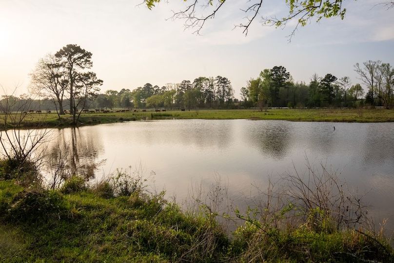 71 Marion TX 143 and 117 Featured_ProPhoto-16