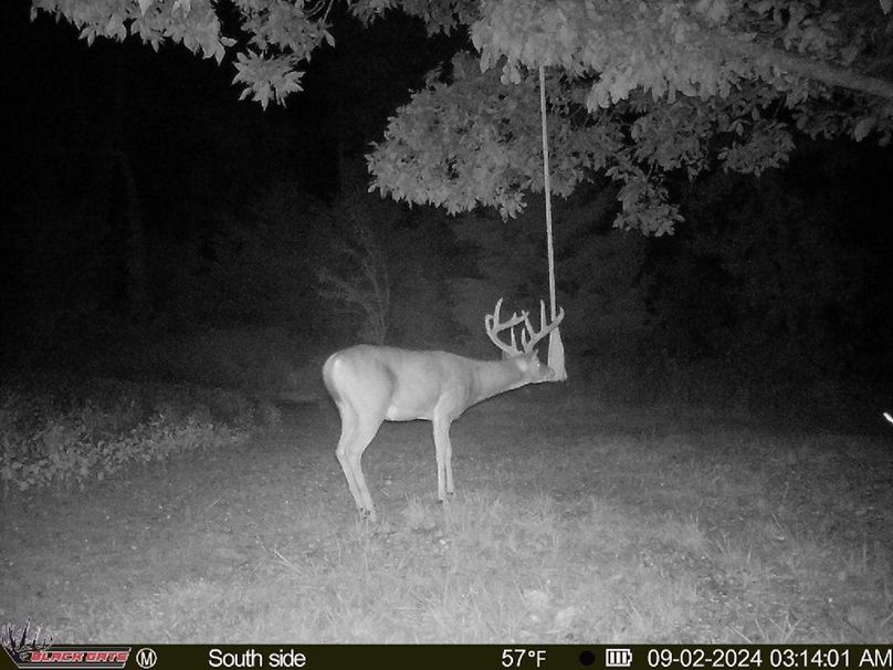 blackgate-media_176479936967571