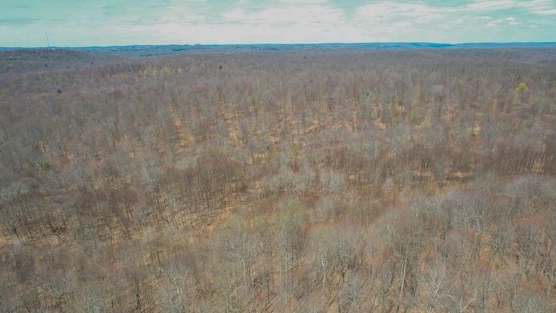 Treasure Lake Edited-057