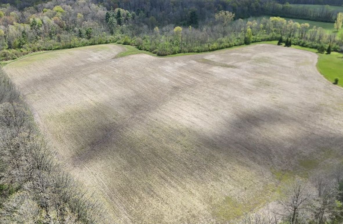 1 DJI_20260509005120_0030_D