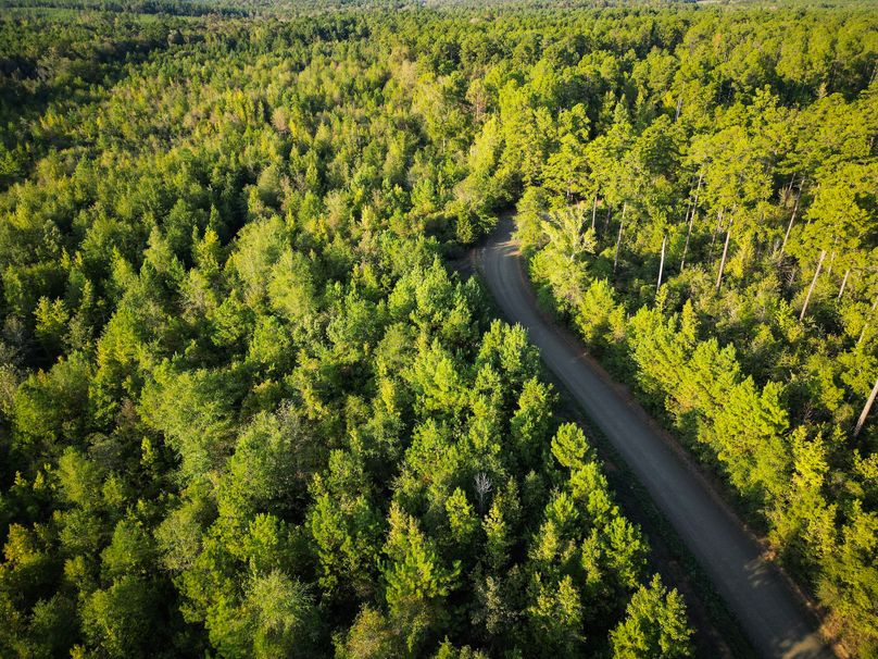 43.5 Acres San Augustine 006