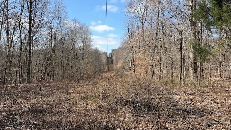 Butler 118 Capella12