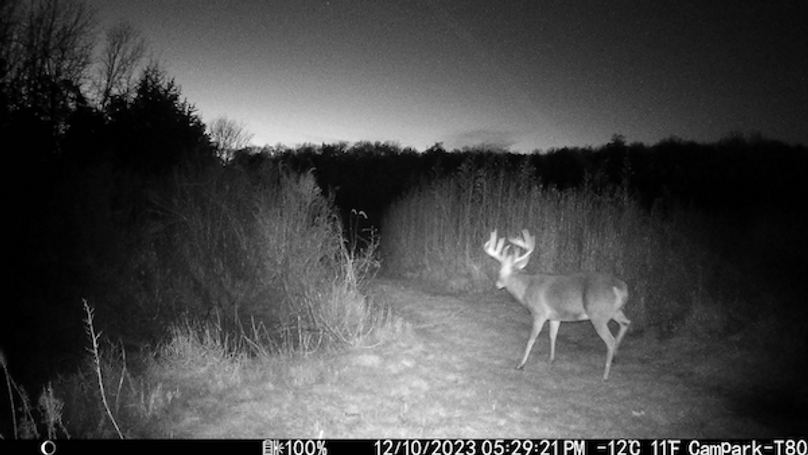 Screenshot 2024-09-04 at 2.33.41 PM