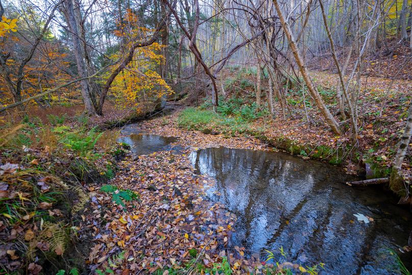 Elk PA 7000 Feature_Pro Photo-136