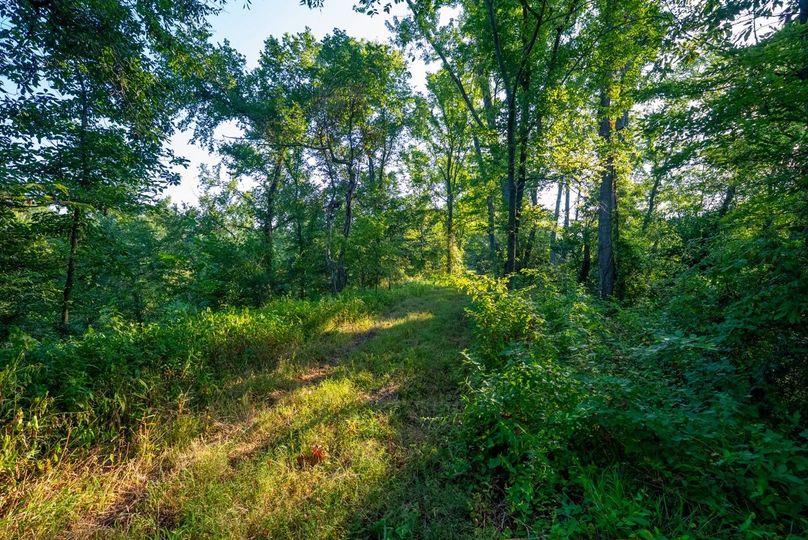 Copy of DSC06257 Large