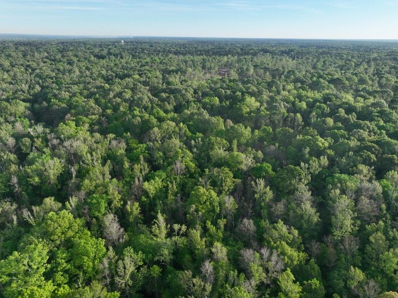 dji_fly_20260407_083350_354_1775580337537_photo