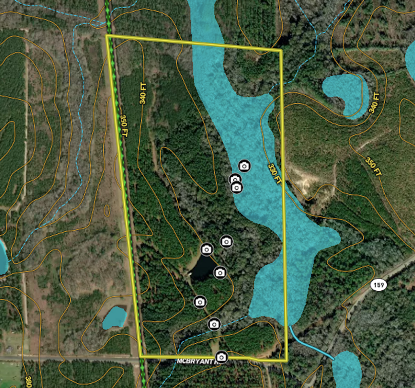 Screen Shot 2024-02-04 at 11.57.48 AM