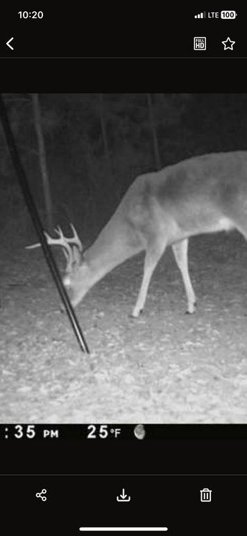 Trail Pic 12