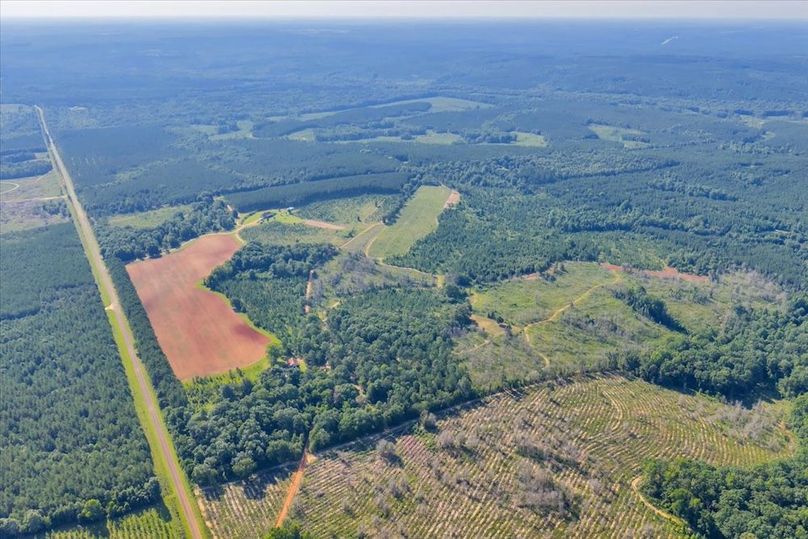 05-DJI_20250623094707_0010_D_M4P_1