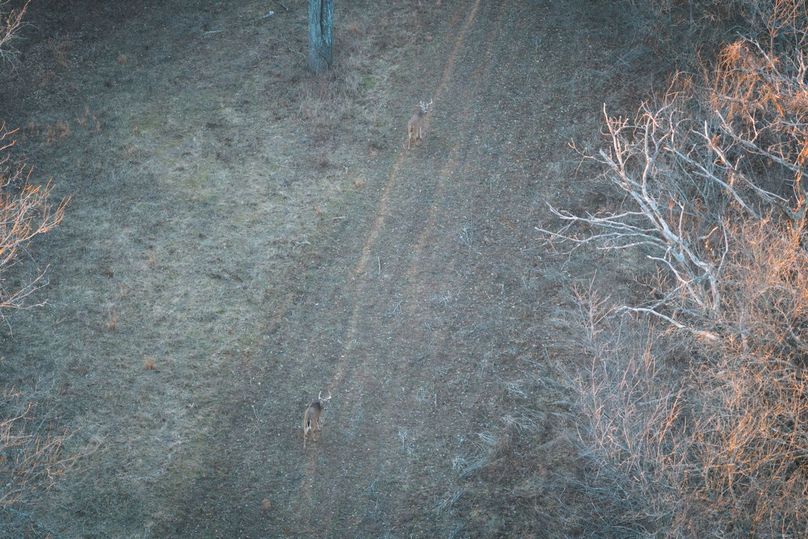 DJI_20260121165048_0503_D