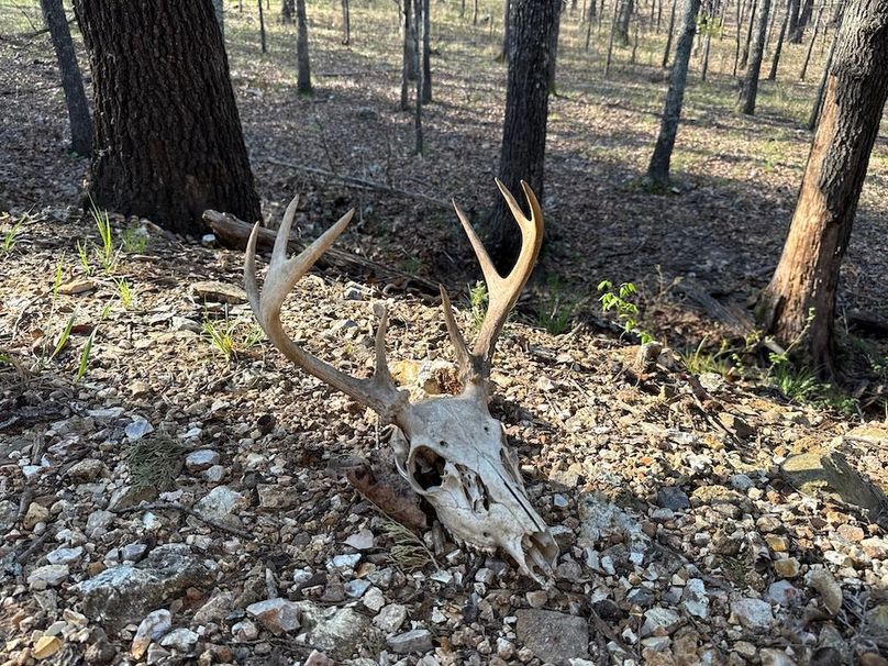 DJI_20260409_091247_667