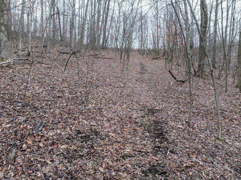 Copy of DJI_20260121155640_0072_D-Edit Large