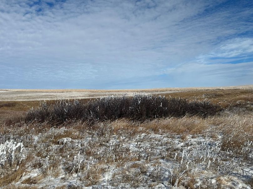 4C934D4B-A86D-4784-A88F-C2EF6587F801_1_105_c