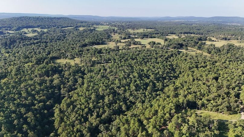 DJI_20250823094120_0083_D