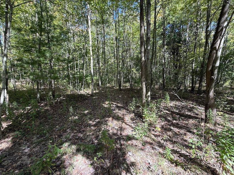 Chemung_20.82_Meyers Photo 25