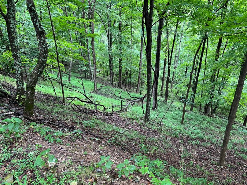 Wirt, WV 150.75 AC Tinnell-46