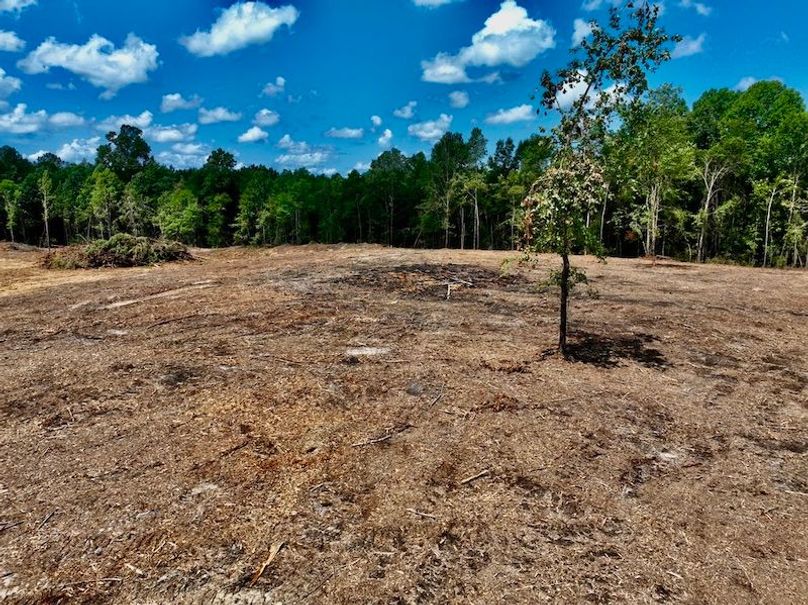 00A7D551-8871-4971-BBCC-18218CCE7B02_1_105_c