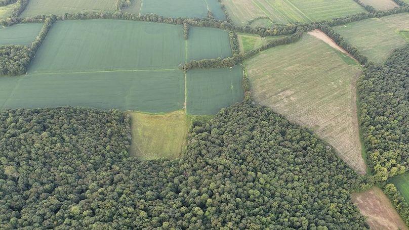 Copy of Copy of DJI_20250728194151_0307_D