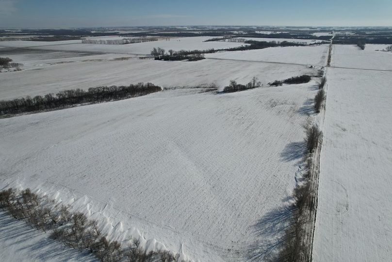 dji_fly_20260226_145148_86_1772139416492_photo