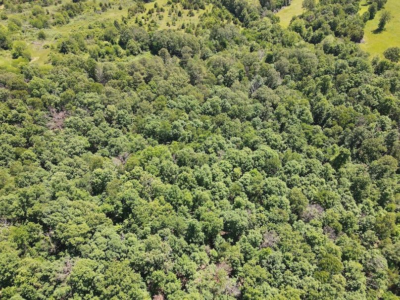 dji_fly_20260507_122450_744_1778174702096_photo