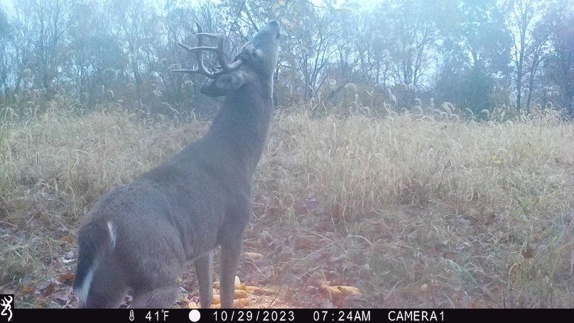 trail cam12