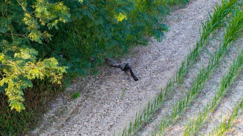 Copy of DJI_20250806051917_0014_D Large