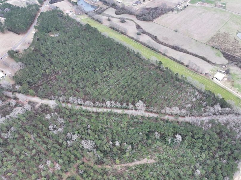 dji_fly_20260217_132750_0114_1771436922839_photo