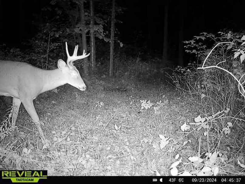 865814048154676-100-3-09232024044538-W1000127