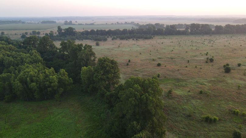 dji_fly_20230625_062122_981_1687692413427_photo