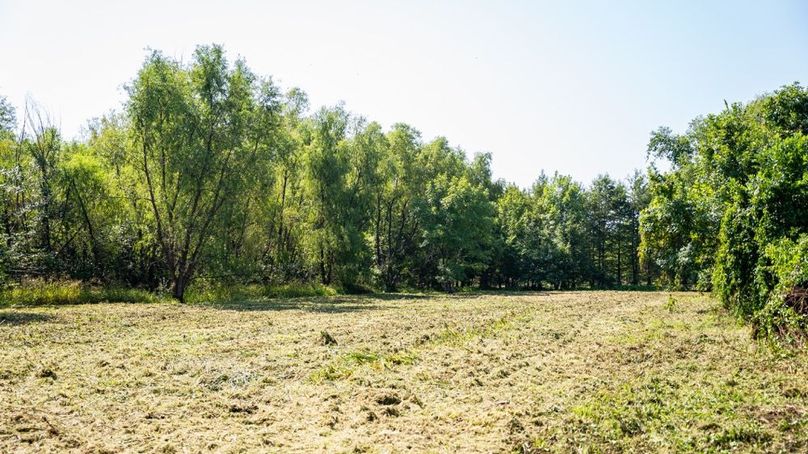 MadisonParLa1372-108