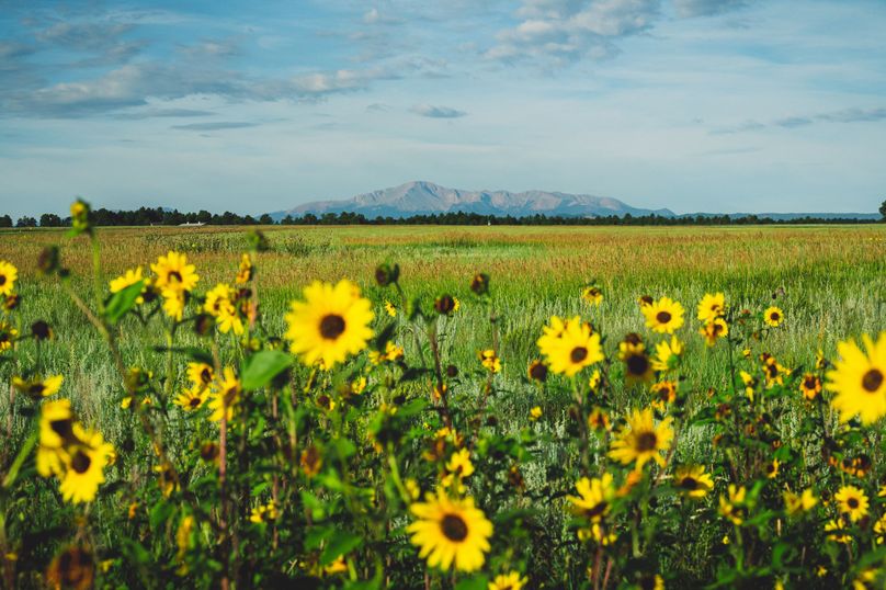 Douglas CO 35 Prettyman - 013