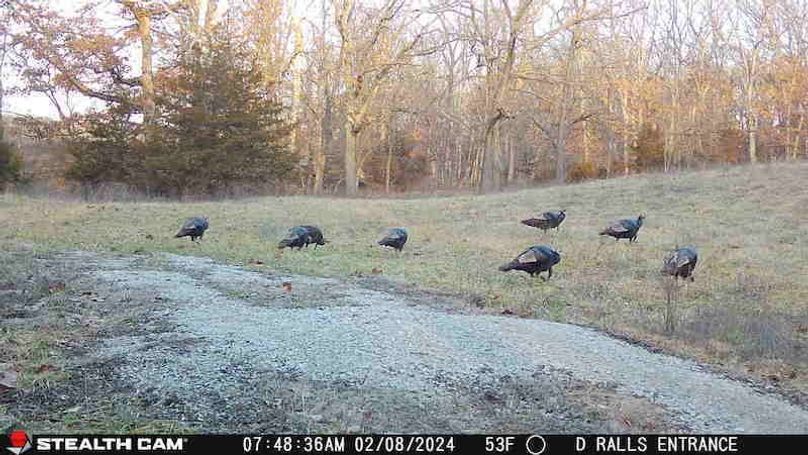 e8de4d63-5bf6-45a0-b2bc-6cd13ecd0d0a