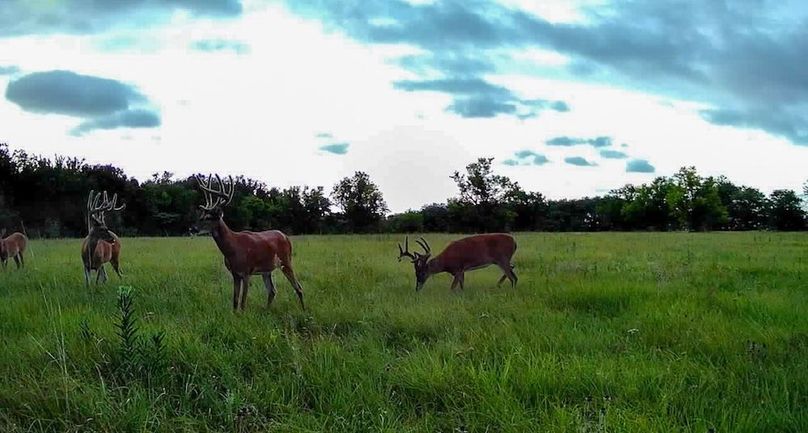 Copy of 016578004545254-100-2-07302025194835-SYFW00273