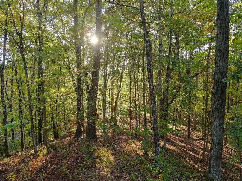 DJI_20251006132602_0012_W