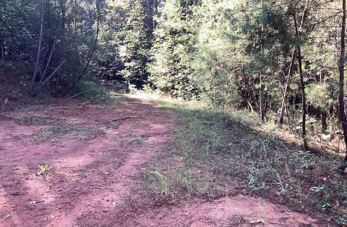 003_Level Potential Homesite