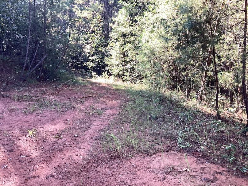 003_Level Potential Homesite