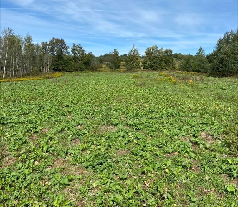 Screen Shot 2025-10-07 at 11.38.13 AM