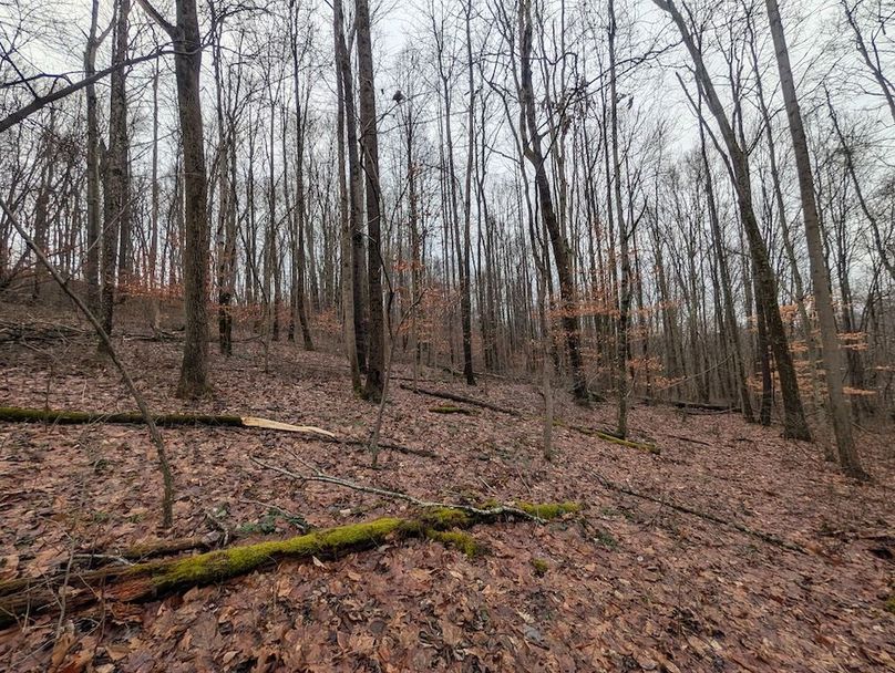 PXL_20260107_175349600