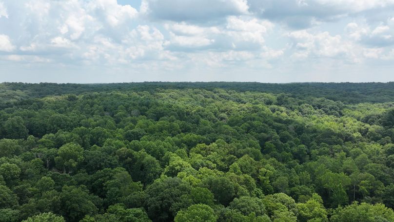 dji_fly_20240711_133544_0231_1720719603232_photo