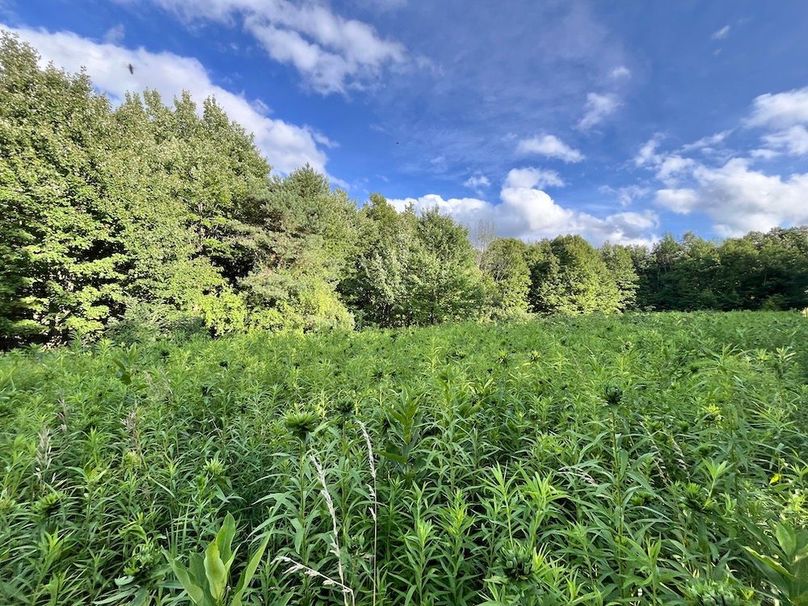 Chemung_78.26+Gutchess_Lumber_Photos_1