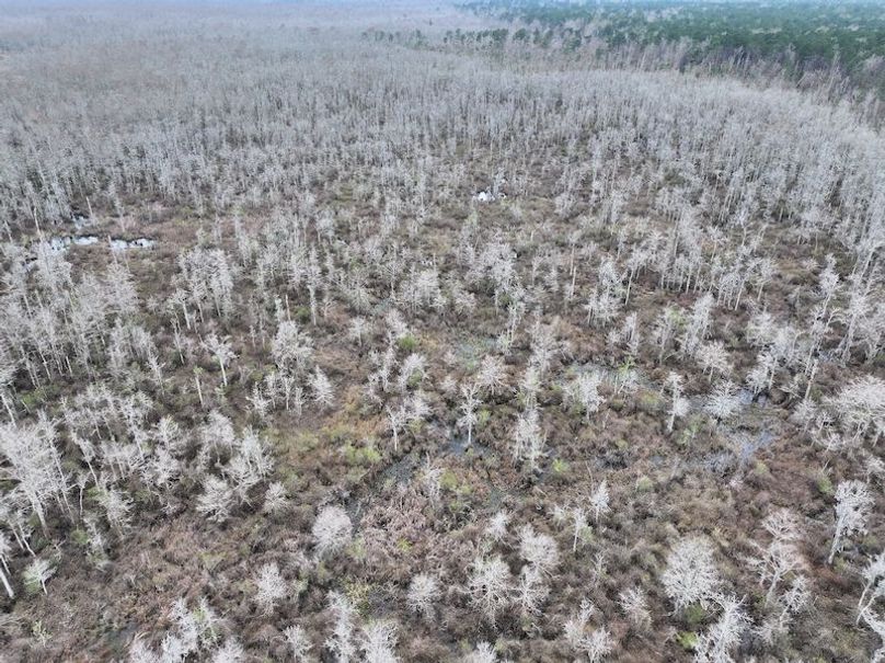 dji_fly_20260123_132532_0950_1769444769702_photo