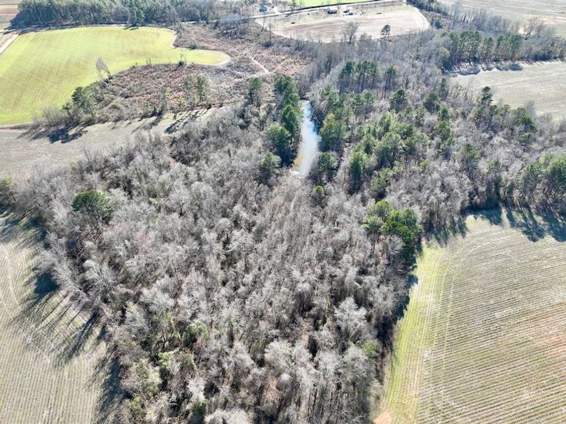 dji_fly_20260115_144110_131_1768507050104_photo