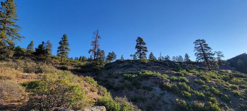 Copy of 20210827_073124