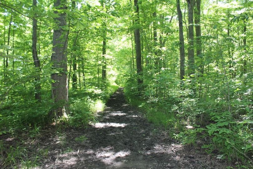 trail 23