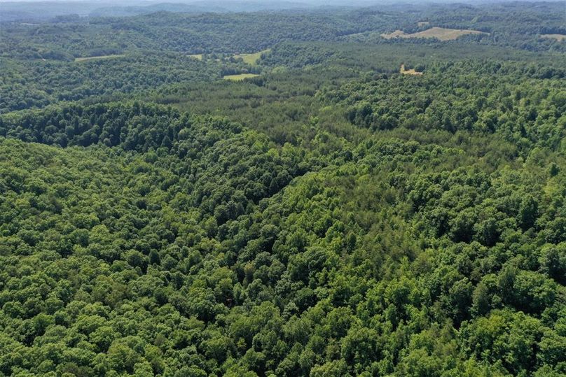 003 aerial drone shot from the west boundary looking to the east across the property