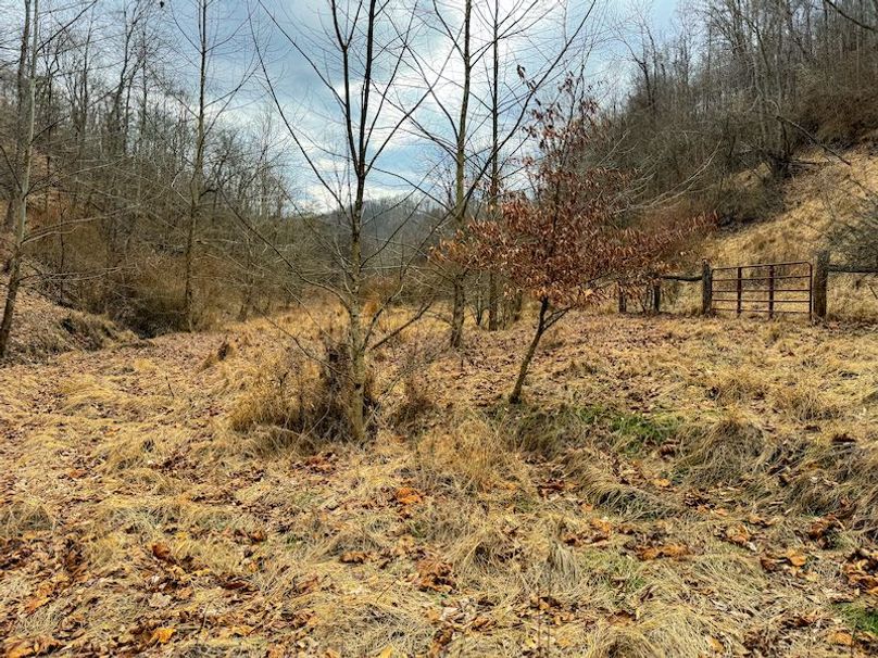 Doddridge, WV 79.08 AC Adams-77