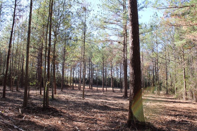 09A8418F-CEFC-4908-B955-04943CAE409A_1_105_c